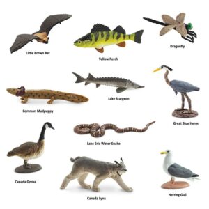 Zwierzęta Wielkich Jezior, figurki w tubie Safari Ltd.