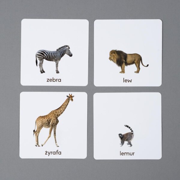 Zwierzęta Afryki karty edukacyjne Montessori