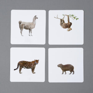 Zwierzęta Ameryki Południowej, karty edukacyjne Montessori