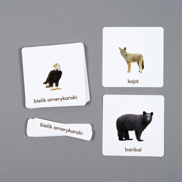 Zwierzęta Ameryki Północnej karty edukacyjne Montessori