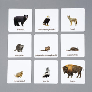 Zwierzęta Ameryki Północnej, karty edukacyjne Montessori