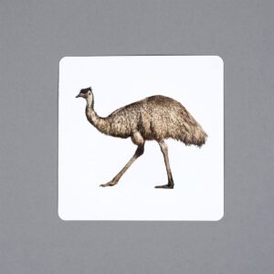Zwierzęta Australii, karty edukacyjne Montessori