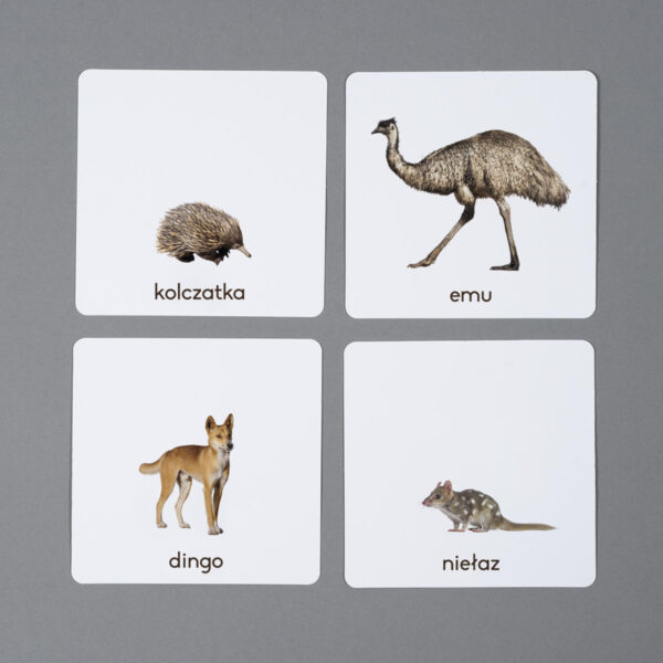 Zwierzęta Australii karty edukacyjne Montessori
