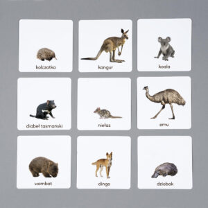 Zwierzęta Australii, karty edukacyjne Montessori