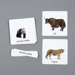 Zwierzęta Azji, karty edukacyjne Montessori