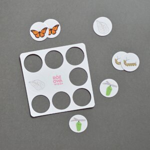 Cykl rozwojowy motyla, karty edukacyjne Montessori