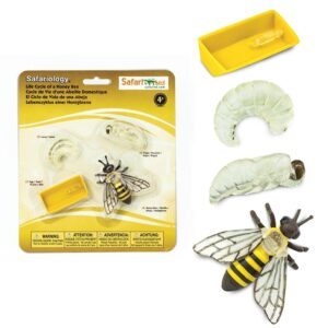 Cykl rozwojowy pszczoły, figurki edukacyjne Safari Ltd.