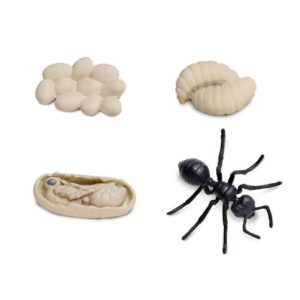 Cykl rozwojowy mrówki, figurki edukacyjne Safari Ltd.