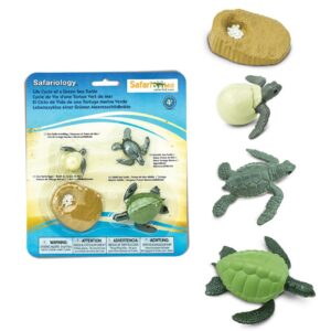 Cykl rozwojowy żółwia, figurki edukacyjne Safari Ltd.