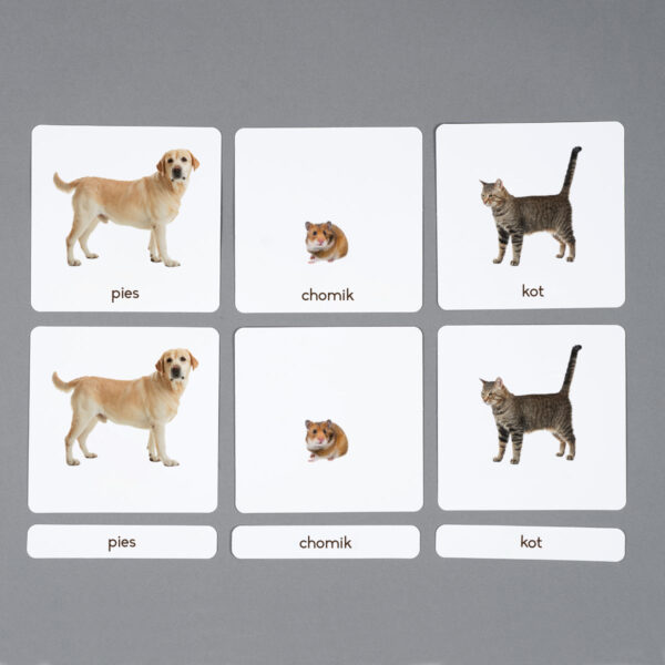 Zwierzęta domowe karty edukacyjne Montessori