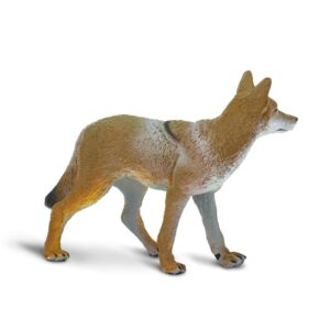 Kojot, figurka edukacyjna marki Safari Ltd.