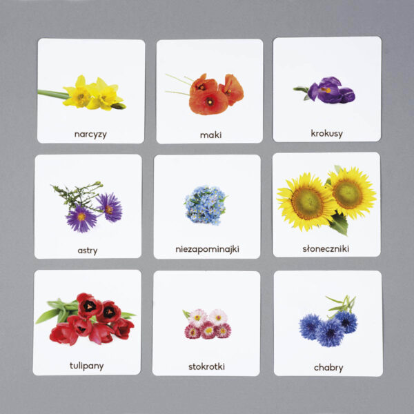 Kwiaty karty edukacyjne Montessori