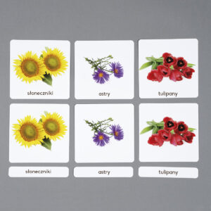 Kwiaty, karty Montessori do samodzielnego wydruku