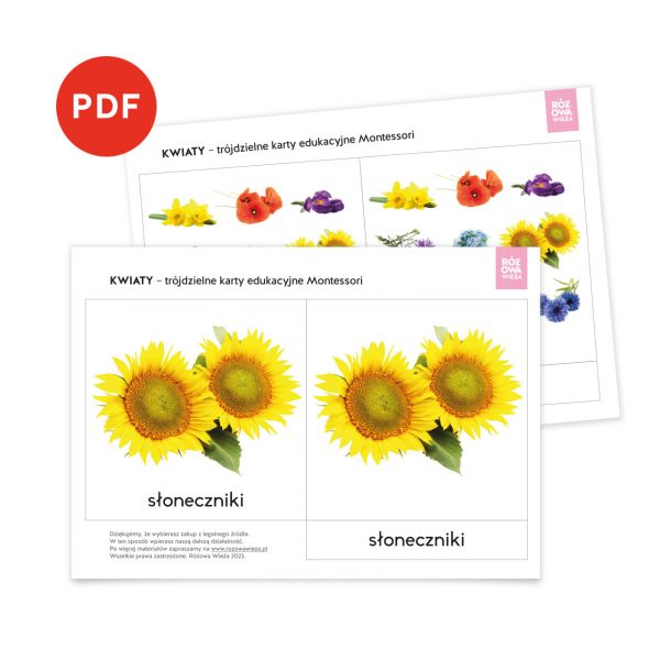 Kwiaty karty edukacyjne Montessori do samodzielnego wydruku