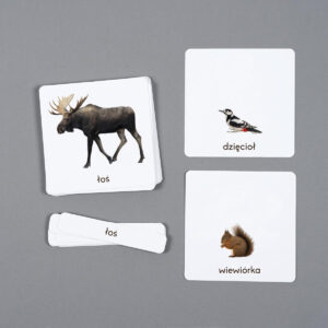 Zwierzęta lasu, karty edukacyjne Montessori