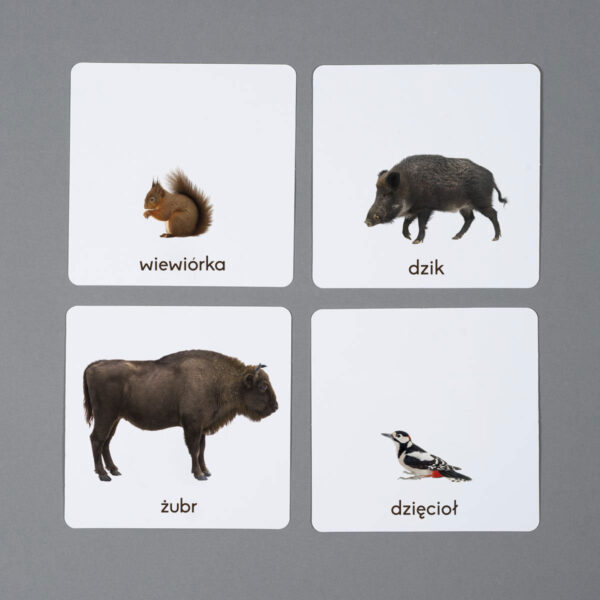 Zwierzęta lasu karty edukacyjne Montessori