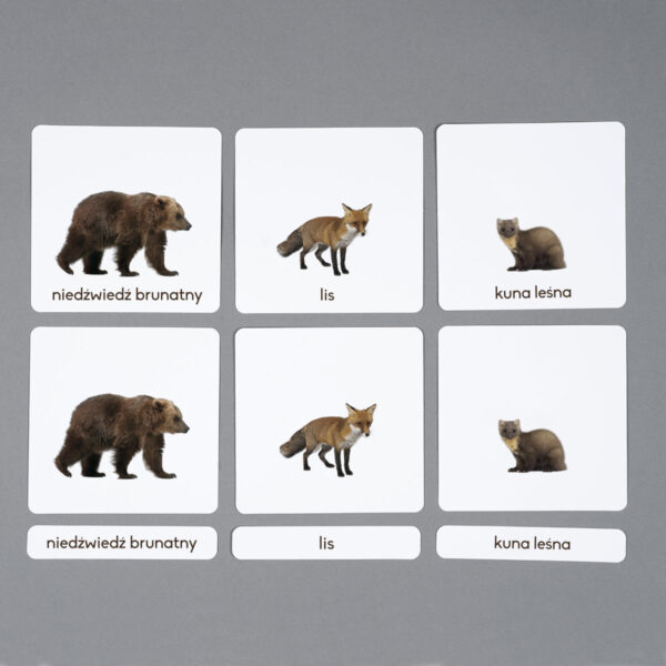 Zwierzęta lasu karty edukacyjne Montessori