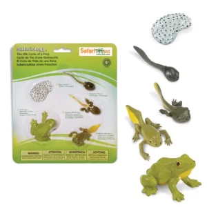 Cykl rozwojowy żaby, figurki edukacyjne Safari Ltd.
