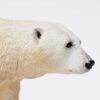 Niedźwiedź polarny figurka Safari Ltd.
