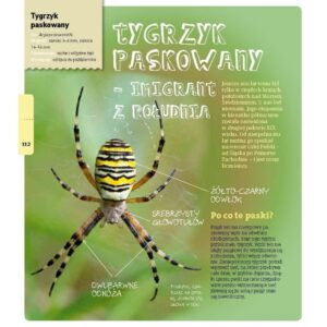 O owadach i pająkach, opowiada Artur Sawicki, książka