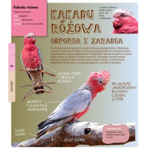 O ptakach świata, opowiada Andrzej Kruszewicz, książka