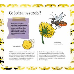 Pszczoły miodne i niemiodne, książka