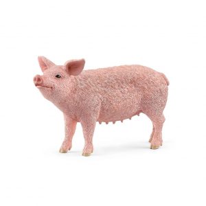 Świnia, figurka edukacyjna marki Schleich