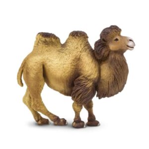 Wielbłąd dwugarbny, figurka edukacyjna marki Safari Ltd.