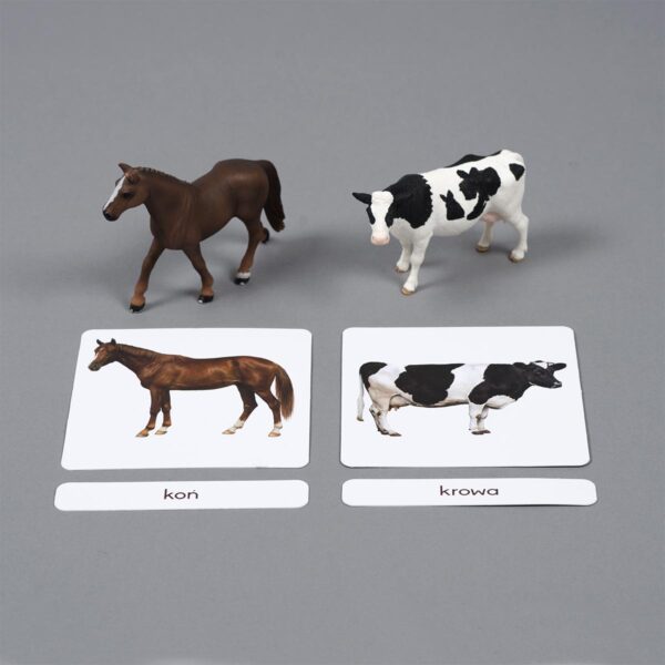Zwierzęta gospodarskie karty edukacyjne Montessori