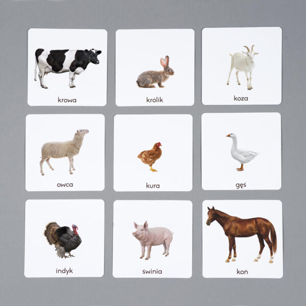 Zwierzęta gospodarskie karty edukacyjne Montessori