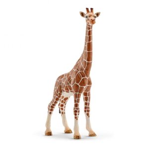 Żyrafa, figurka edukacyjna marki Schleich